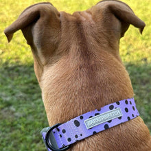Load image into Gallery viewer, Dog collar - Oblivion