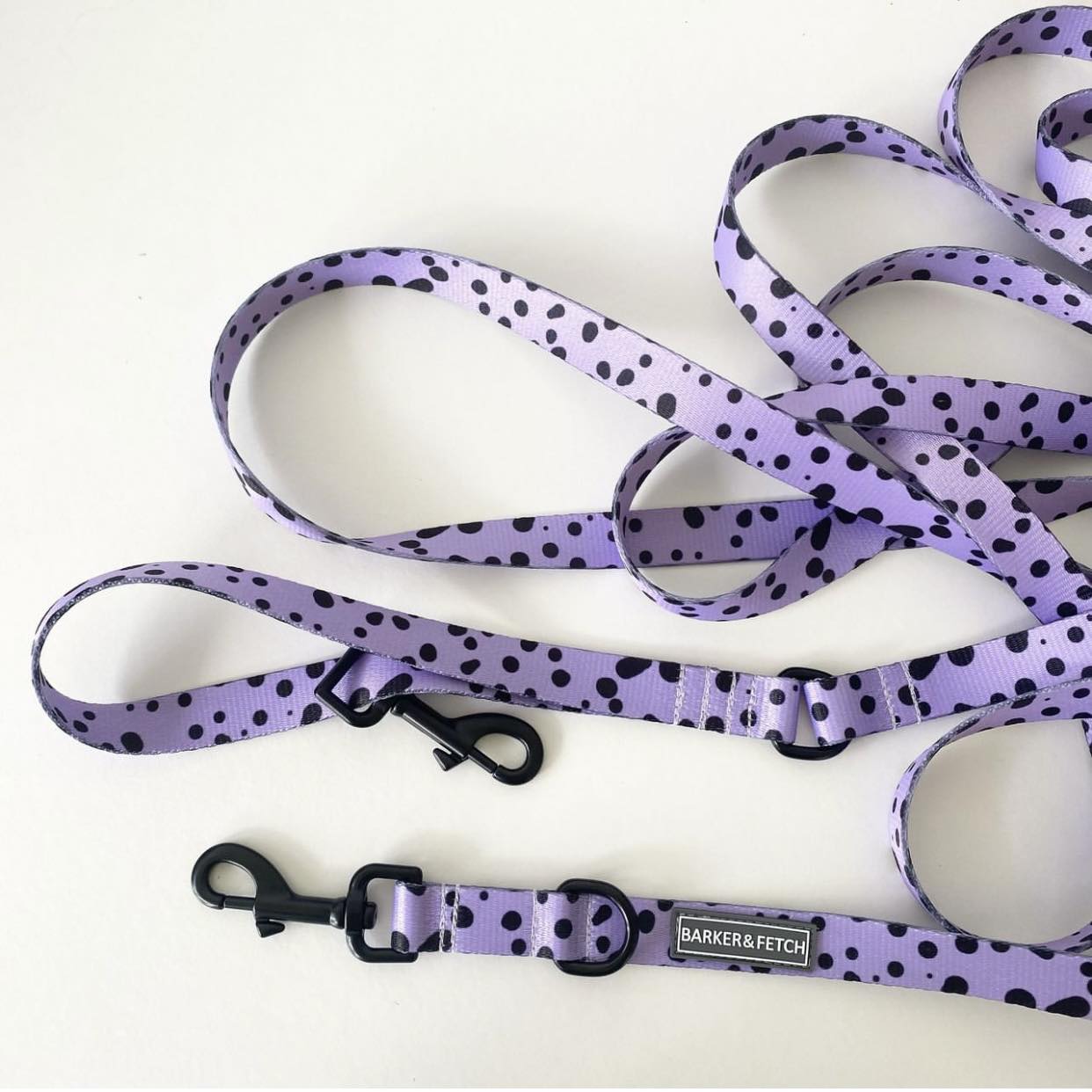 Dog recall leash - Oblivion