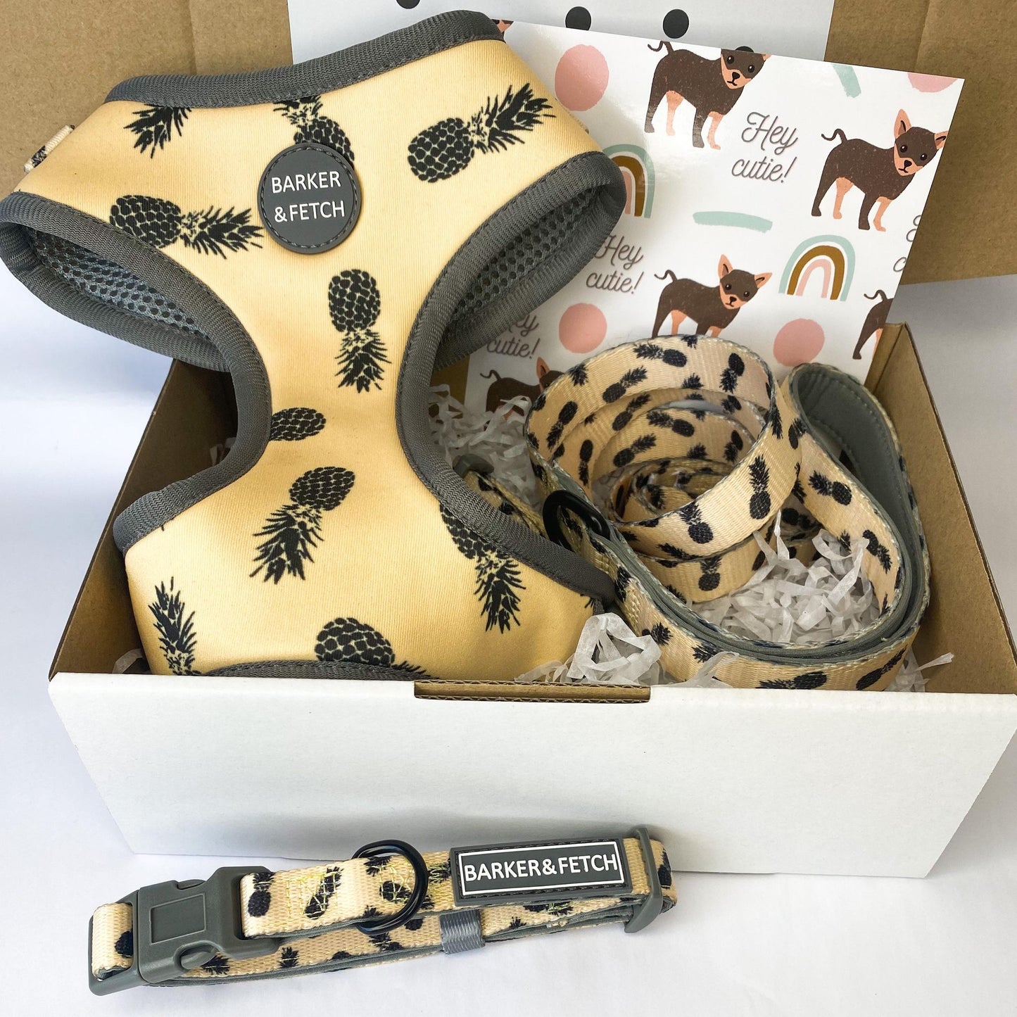 Dog neoprene harness - Pina colada