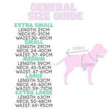 Load image into Gallery viewer, Basic Dog coat | Moths