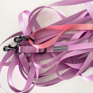 Dog recall leash 10metres - Purple