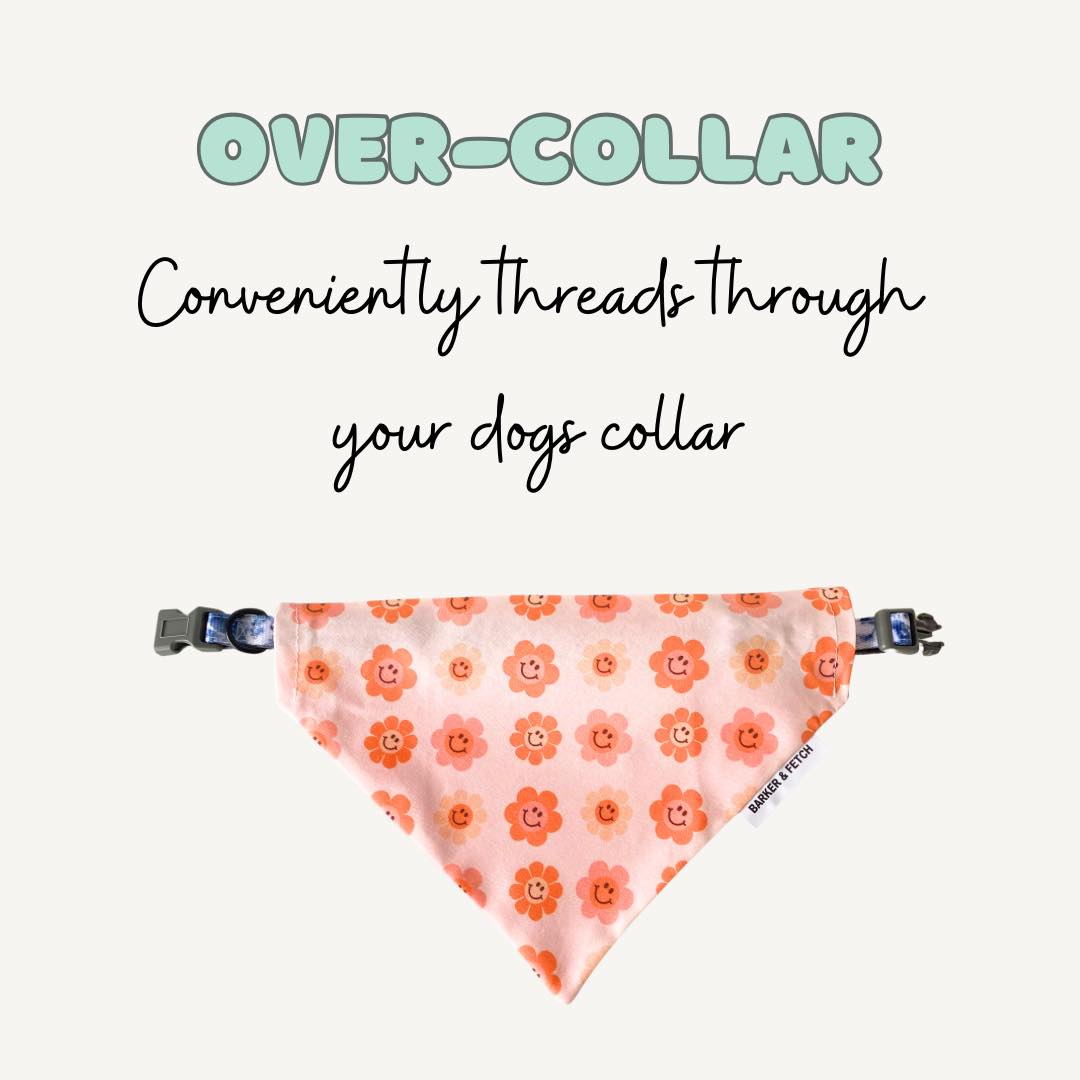 Dog bandana - Sugar bows