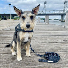 Load image into Gallery viewer, Dog recall leash 10metres - Bolt
