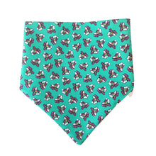 Load image into Gallery viewer, Dog bandana - Rollerskates