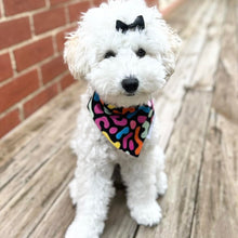Load image into Gallery viewer, Dog bandana - Squiggle
