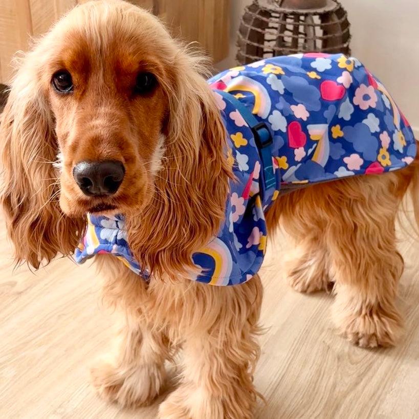 Turtleneck Dog Coat | Dreamer