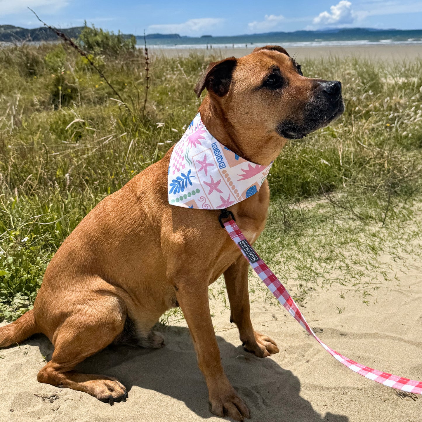 Reversible dog bandana - Cherry Coast