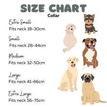 Load image into Gallery viewer, Dog collar - Razzoo