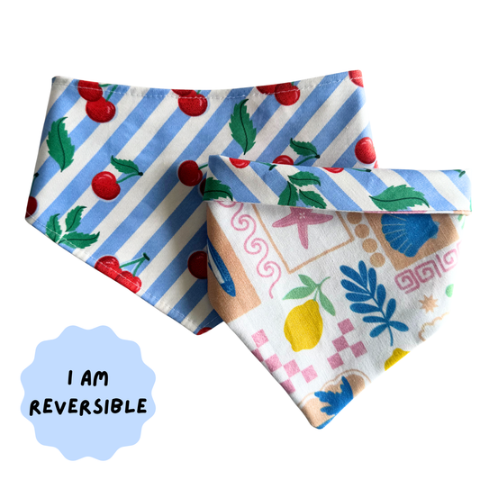 Reversible dog bandana - Cherry Coast