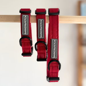 Dog collar - Christmas | Ruby Noel