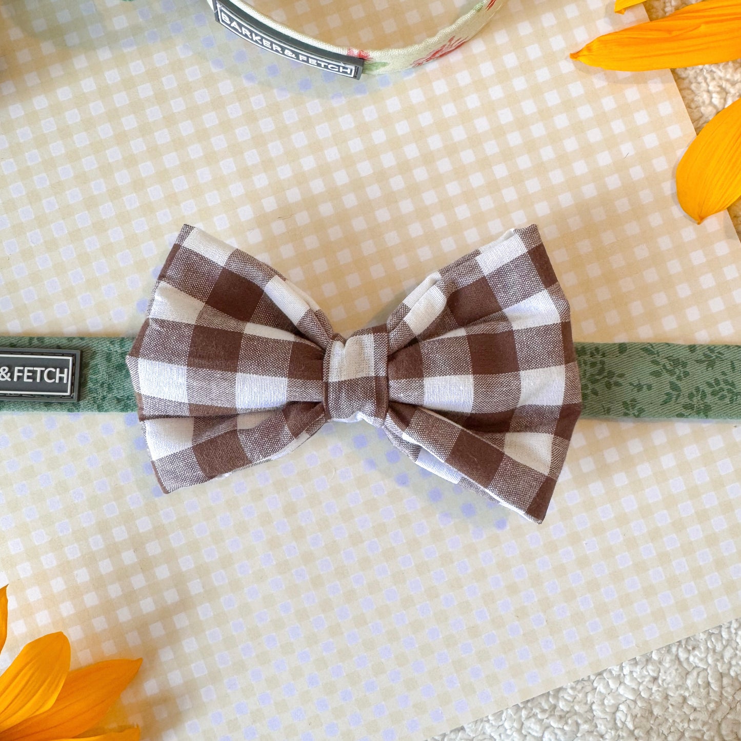 Dog Bowtie | Pinecone