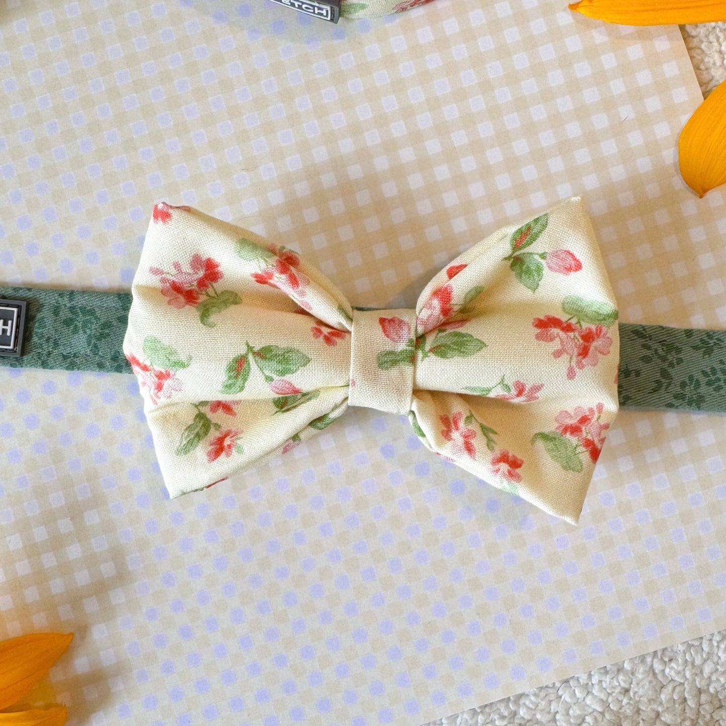 Dog Bowtie | Buttercup