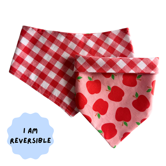 Reversible dog bandana - Little Orchard
