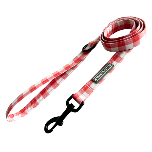 Dog leash - Little Orchard