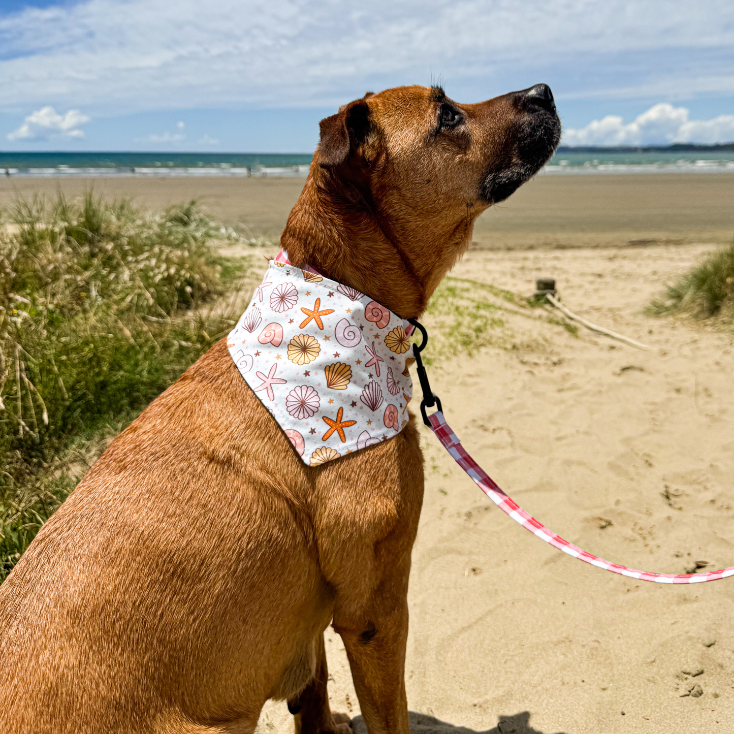 Reversible dog bandana - Seaside Stroll