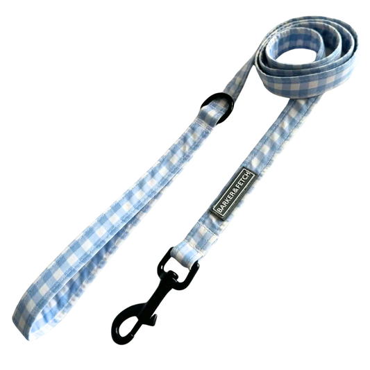 Dog leash - Sunday Blue