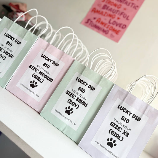 LUCKY DIP BAG