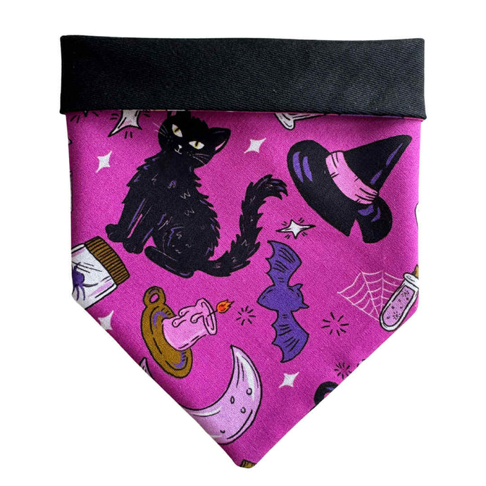 Dog bandana - Spook | Halloween