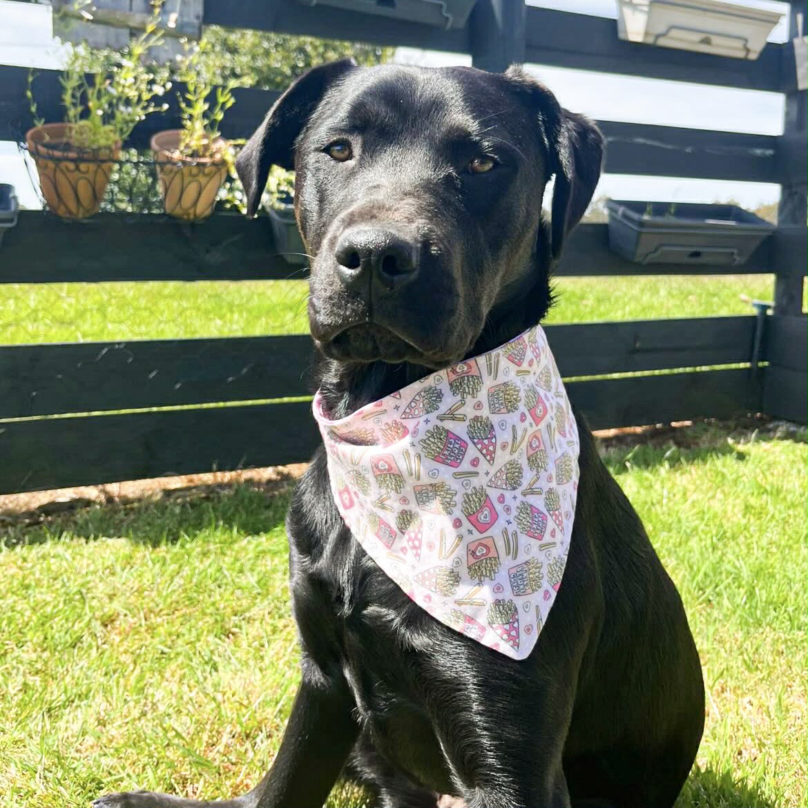 Reversible dog bandana - Love notes