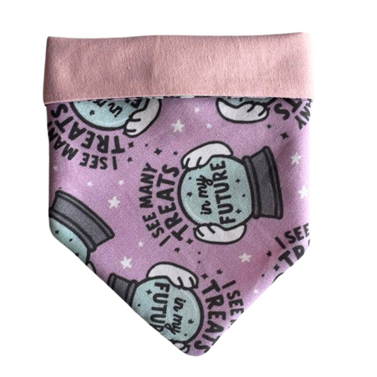 Dog bandana - Future treats
