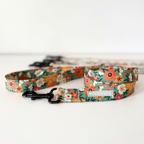 Dog leash - Wildflower Ridge | Montana | Floral