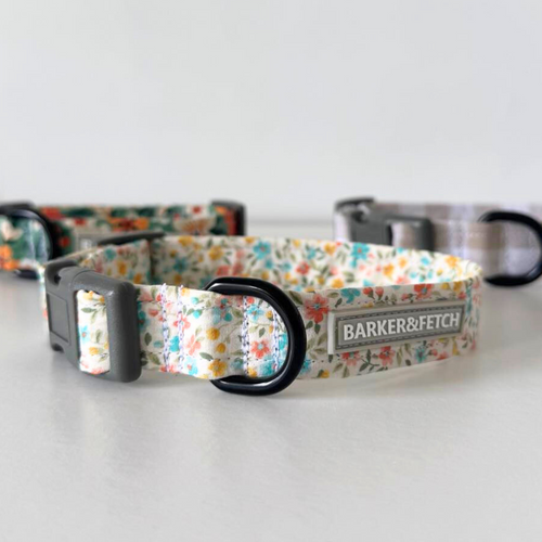 Dog collar - Meadow Valley | Montana | Floral
