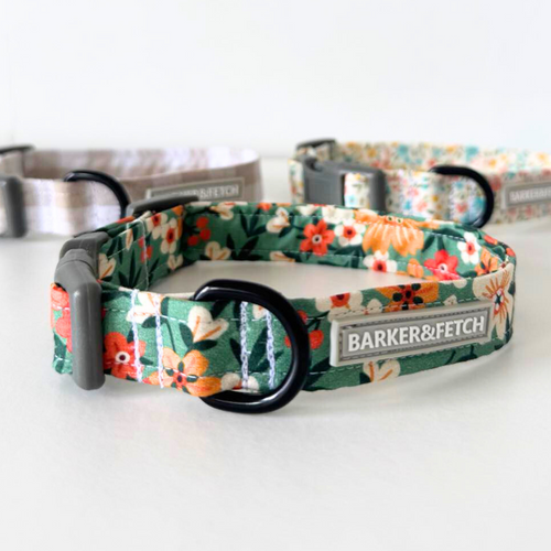 Dog collar - Wildflower Ridge | Montana | Floral