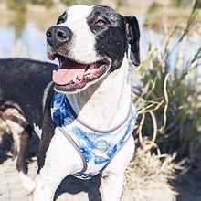 Load image into Gallery viewer, Dog neoprene harness - Rinsed