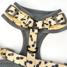 Load image into Gallery viewer, Dog neoprene harness - Pina colada