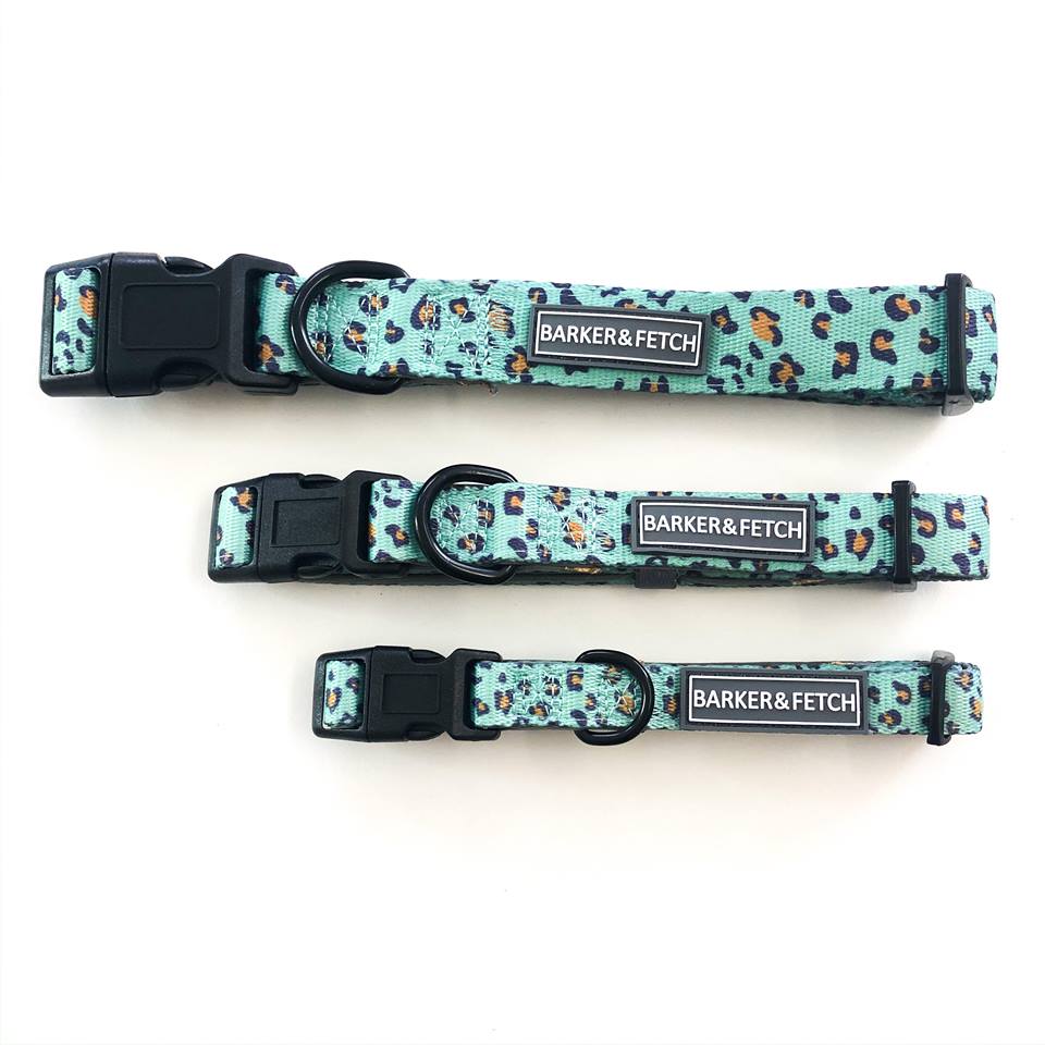 Dog collar - Fierce | green leopard print