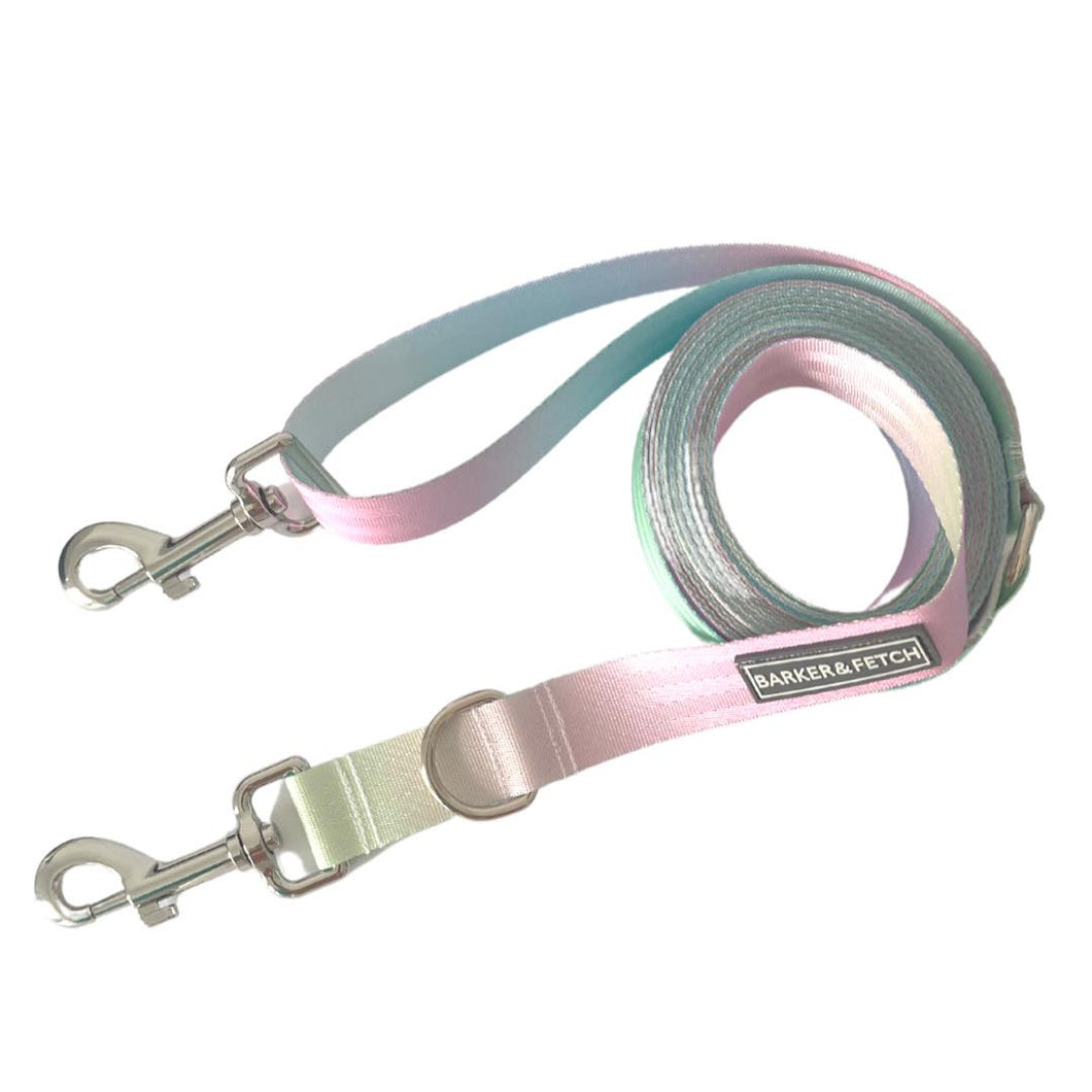 Dog recall leash - Rainbow
