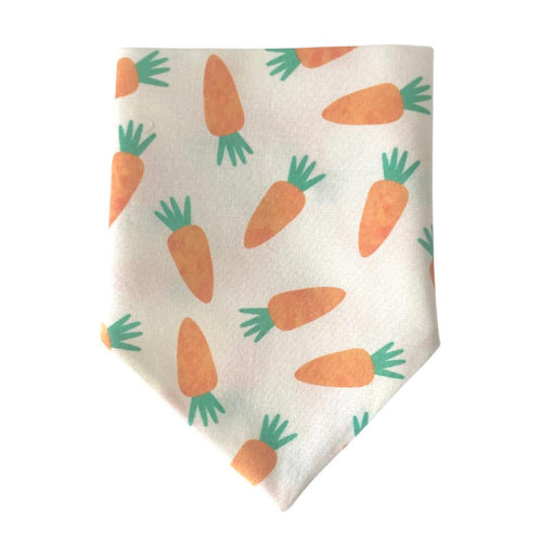 Over Collar bandana - Carrots