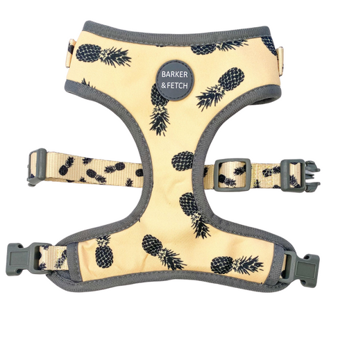 Dog neoprene harness - Pina colada