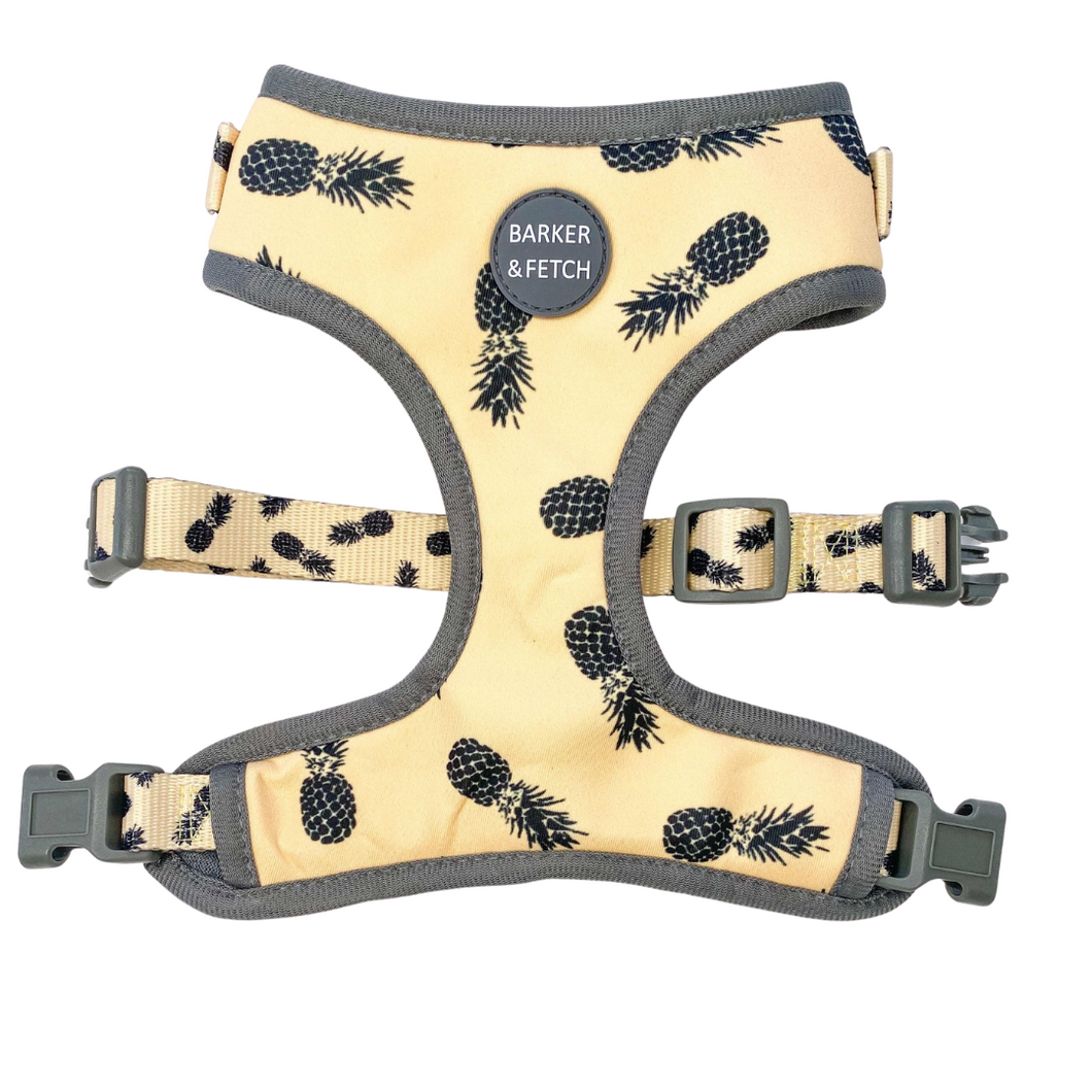 Pina Colada Adjustable Harness