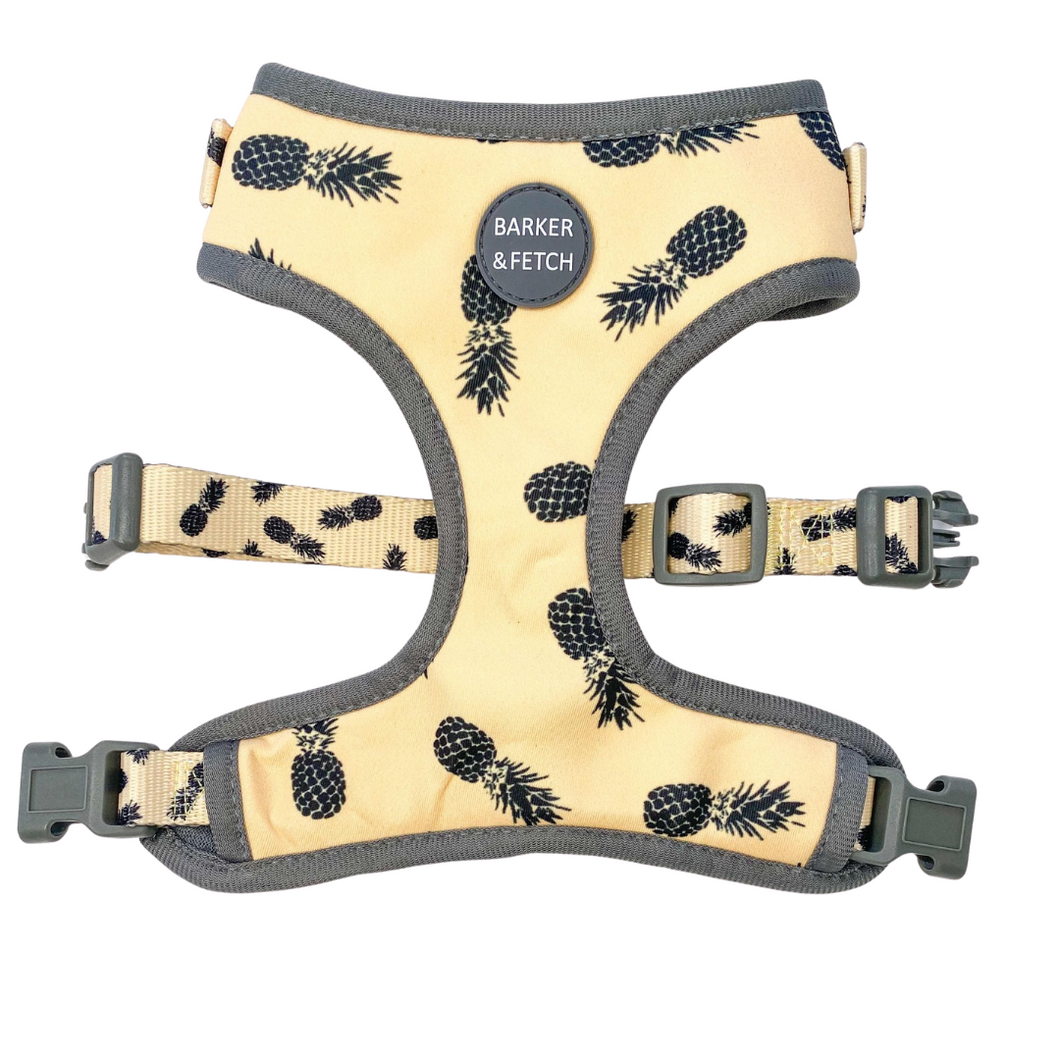 Adjustable Harness - Pina colada