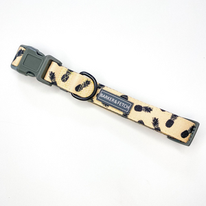 Pina Colada Collar (Active design)