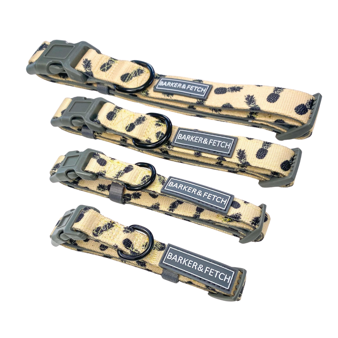 Dog collar - Pina Colada